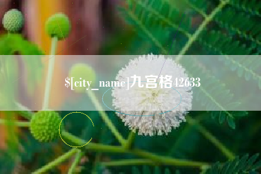 博兴九宫格42633