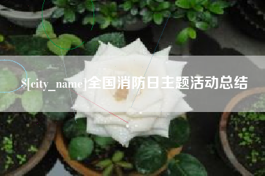博兴全国消防日主题活动总结