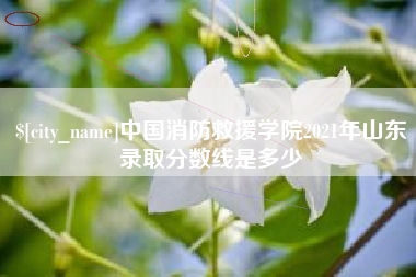 博兴中国消防救援学院2021年山东录取分数线是多少