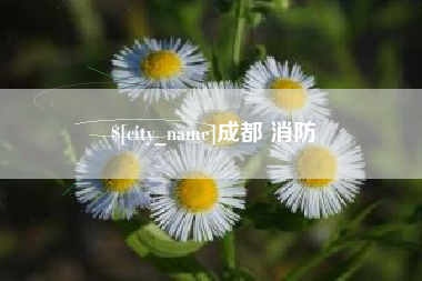 博兴成都 消防