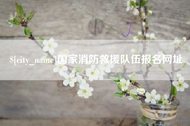博兴国家消防救援队伍报名网址