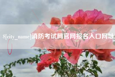 博兴消防考试网官网报名入口网址