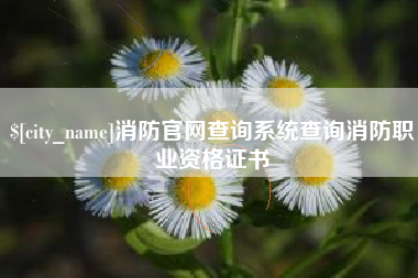 博兴消防官网查询系统查询消防职业资格证书