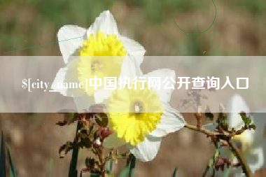 博兴中国执行网公开查询入口
