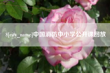 博兴中国消防中小学公开课回放