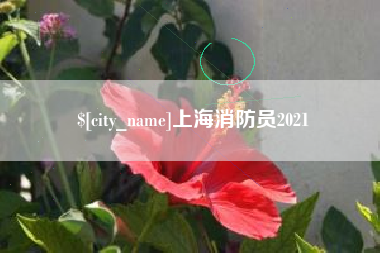 博兴上海消防员2021