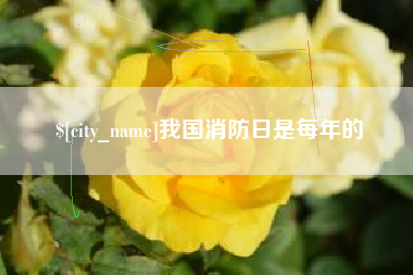 博兴我国消防日是每年的