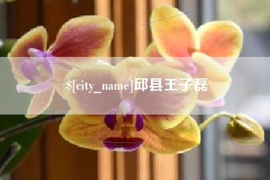 博兴邱县王子磊