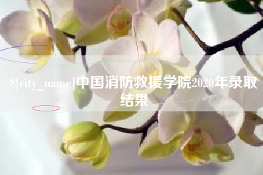 博兴中国消防救援学院2020年录取结果