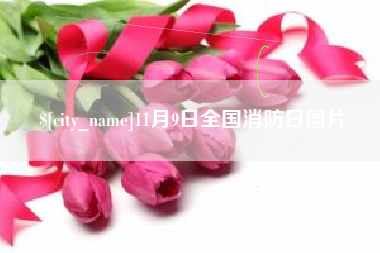 博兴11月9日全国消防日图片