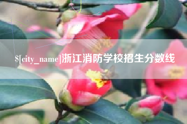 博兴浙江消防学校招生分数线