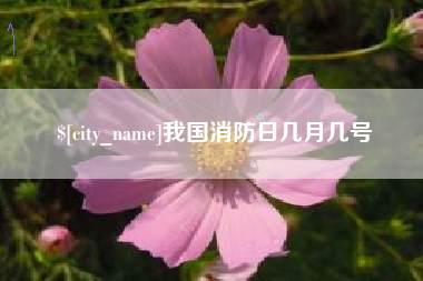 博兴我国消防日几月几号