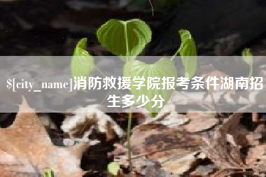 博兴消防救援学院报考条件湖南招生多少分