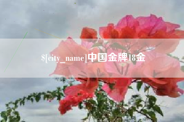 博兴中国金牌18金