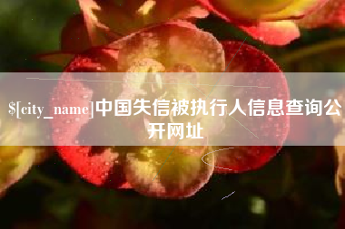 博兴中国失信被执行人信息查询公开网址