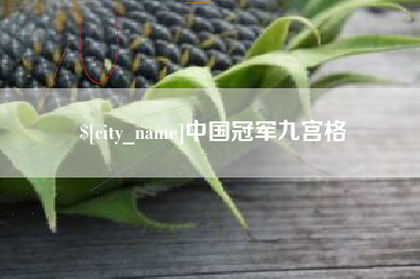 博兴中国冠军九宫格