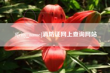 博兴消防证网上查询网站