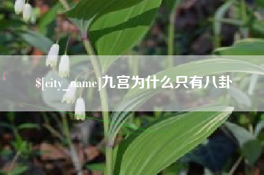 博兴九宫为什么只有八卦