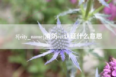 博兴消防ccc认证什么意思
