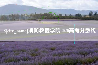 博兴消防救援学院2020高考分数线