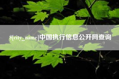 博兴中国执行信息公开网查询