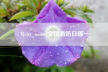 博兴全国消防日哪一