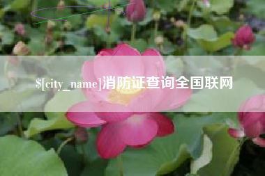 博兴消防证查询全国联网