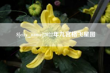 博兴2022年九宫格飞星图