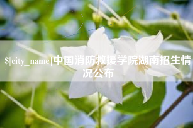 博兴中国消防救援学院湖南招生情况公布
