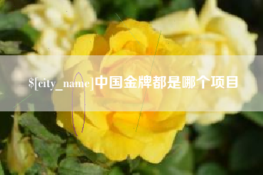 博兴中国金牌都是哪个项目