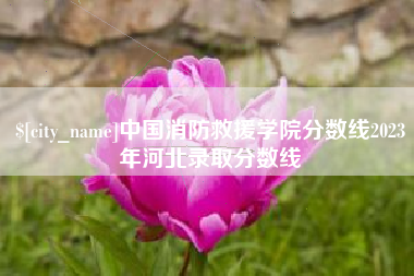 博兴中国消防救援学院分数线2023年河北录取分数线