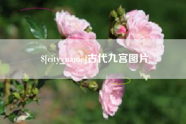 博兴古代九宫图片
