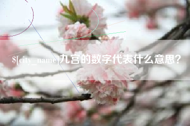 博兴九宫的数字代表什么意思？