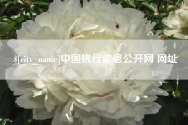 博兴中国执行信息公开网 网址