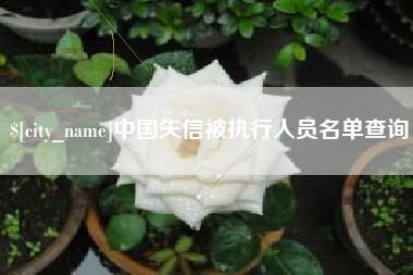 博兴中国失信被执行人员名单查询