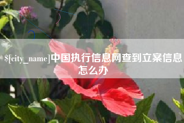 博兴中国执行信息网查到立案信息怎么办