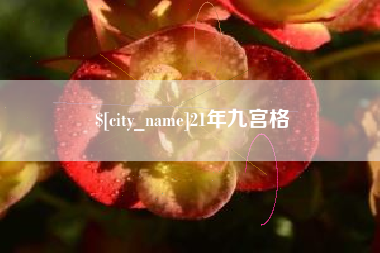 博兴21年九宫格