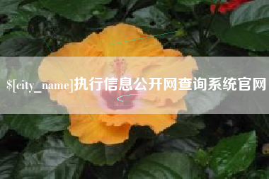博兴执行信息公开网查询系统官网