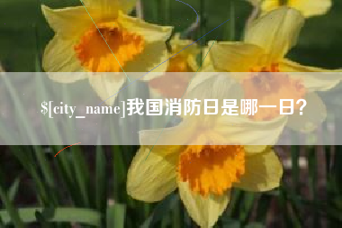 博兴我国消防日是哪一日？