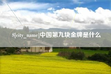 博兴中国第九块金牌是什么