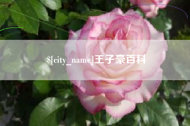博兴王子豪百科