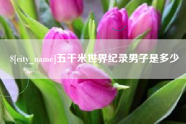 博兴五千米世界纪录男子是多少