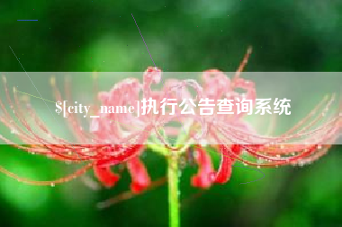 博兴执行公告查询系统