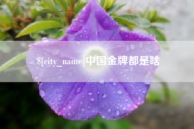 博兴中国金牌都是啥
