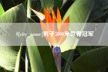 博兴男子5000米世界冠军