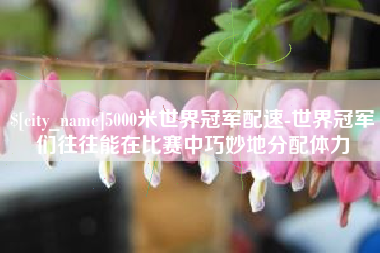 博兴5000米世界冠军配速-世界冠军们往往能在比赛中巧妙地分配体力