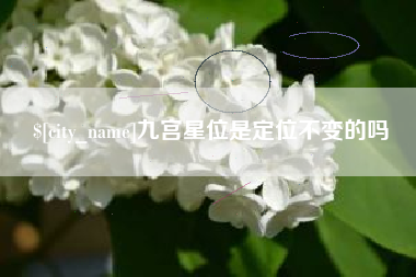 博兴九宫星位是定位不变的吗