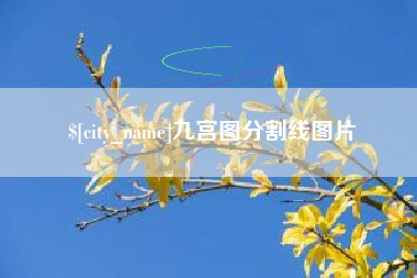 博兴九宫图分割线图片
