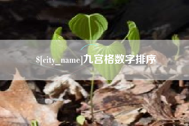 博兴九宫格数字排序