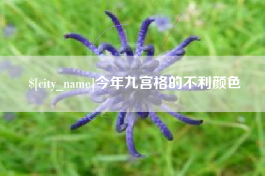 博兴今年九宫格的不利颜色